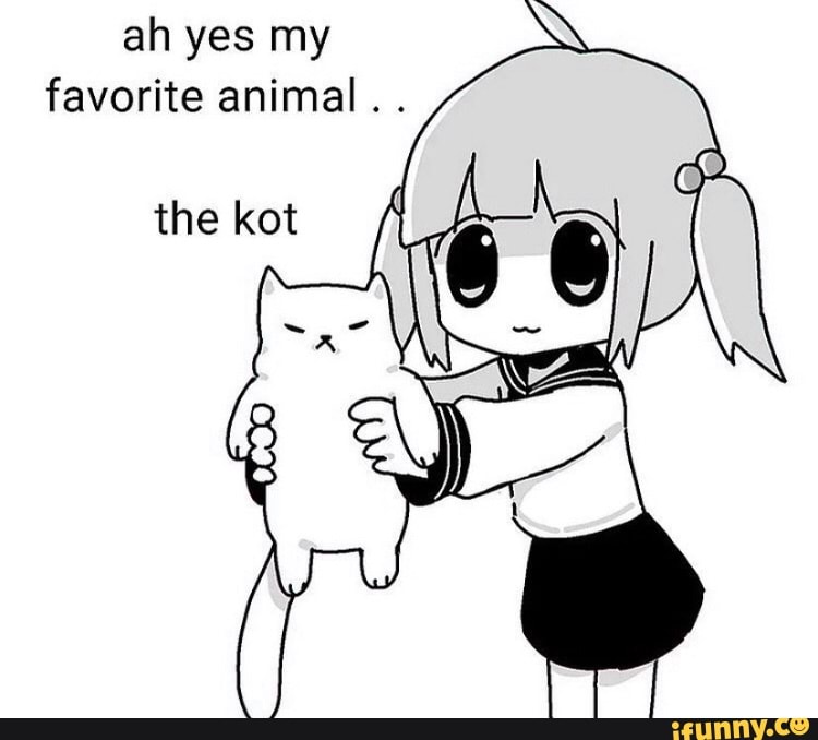 Ah yes my favorite animal . the kot 