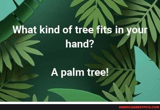 SS
What kind of tree fits in your hand?
A palm tree!