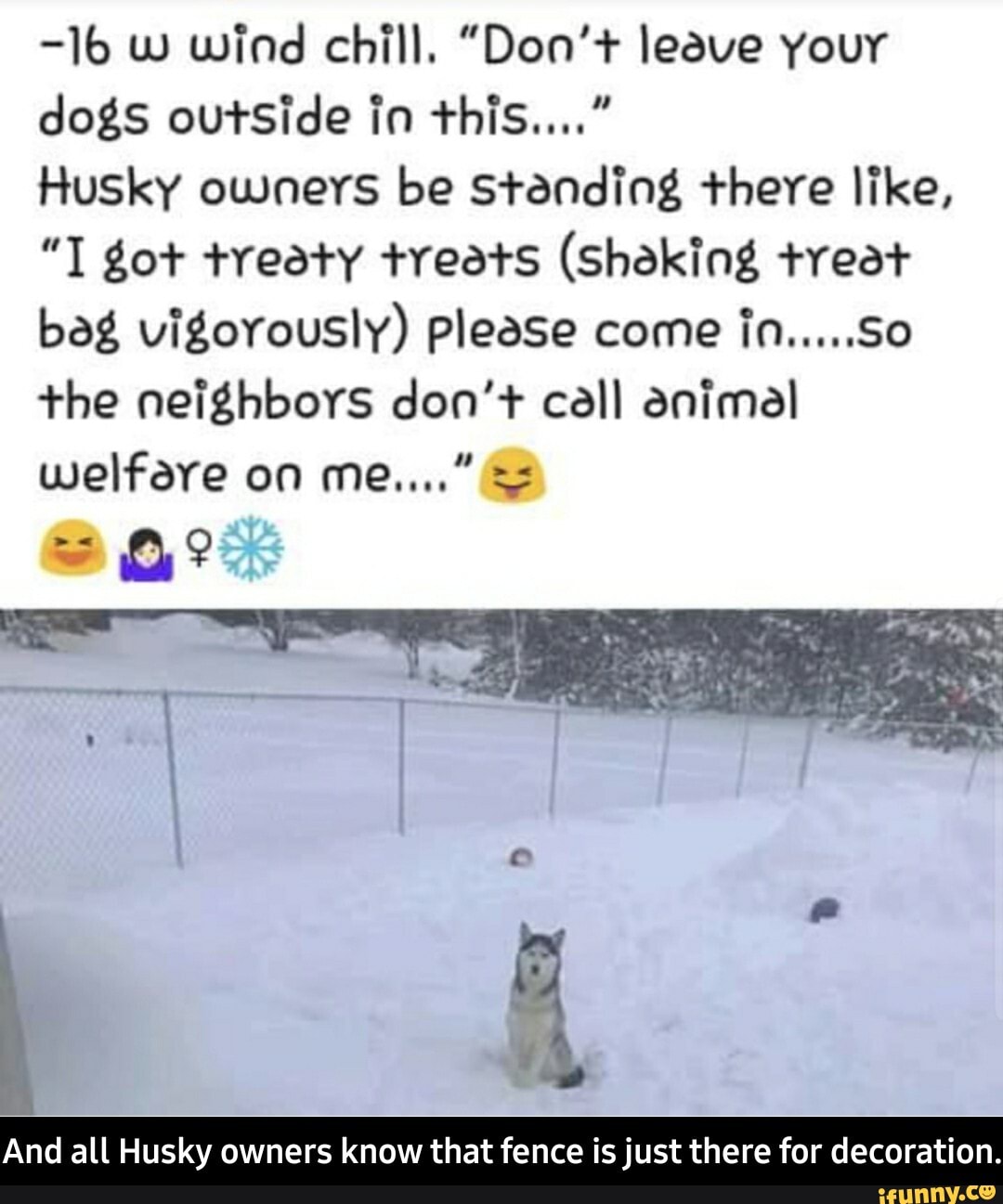 1b W Wind Chill Don Leave Your Dogs Outside In This Husky Owners Be Standing