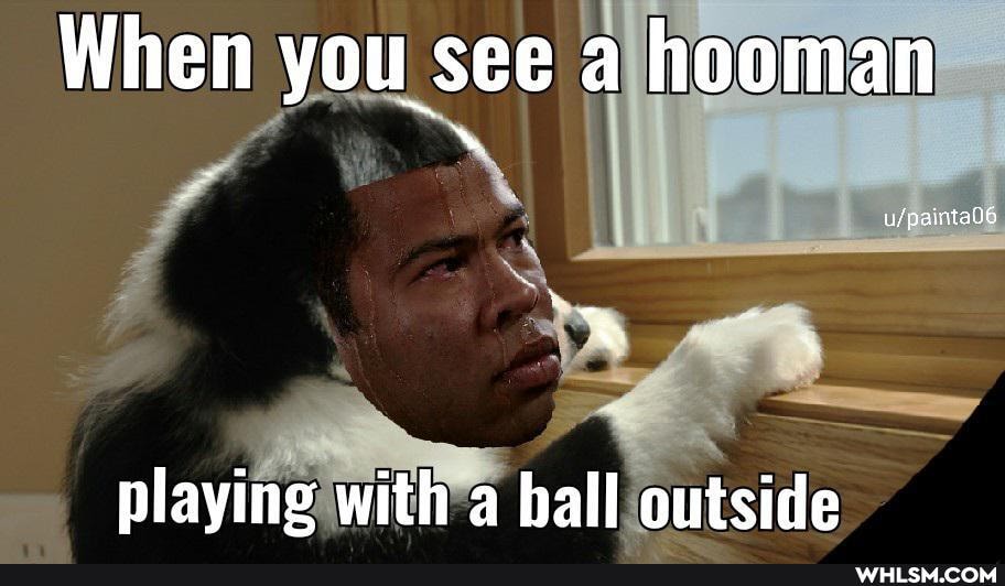 When you see a hooman
playing with a ball outside