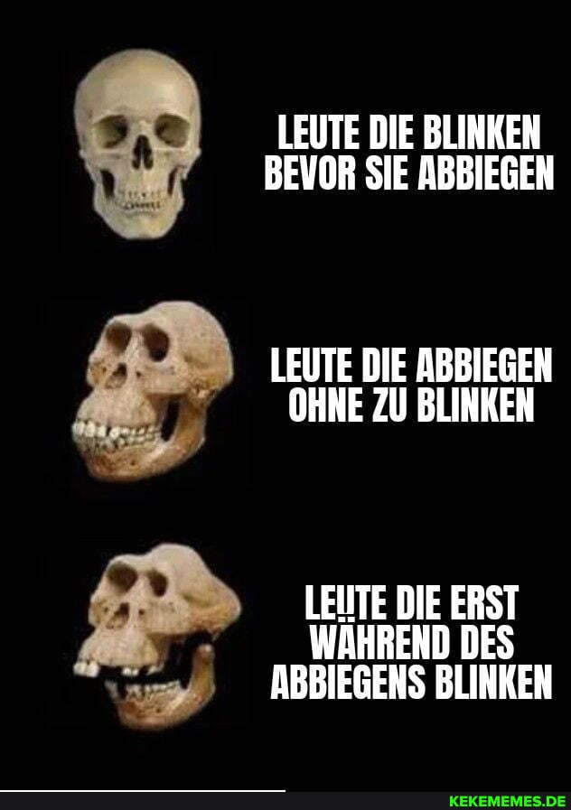 LEUTE DIE BLINKEN BEVOR SIE ABBIEGEN
LEUTE DIE ABBIEGEN OHNE ZU BLINKEN
LEITE DIE ERST WAHREND DES ABBIEGENS BLINKEN