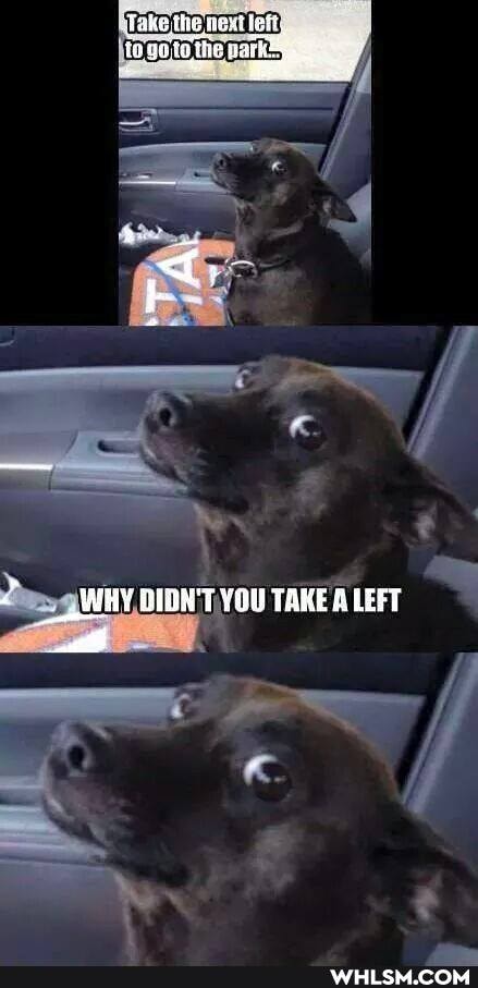 Take the left
togo the ark
WHY YOU TAKE RLEFT