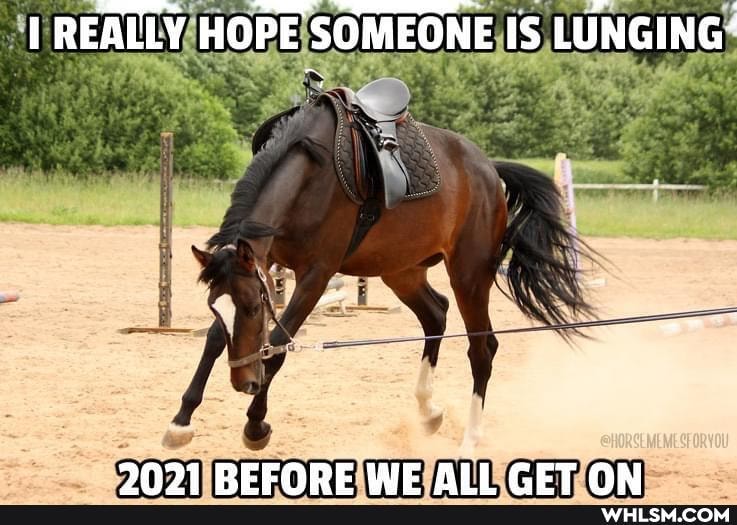REALLY HOPE SOMEONE IS LUNGING'
3791 PELHADDDE WE ALL CET