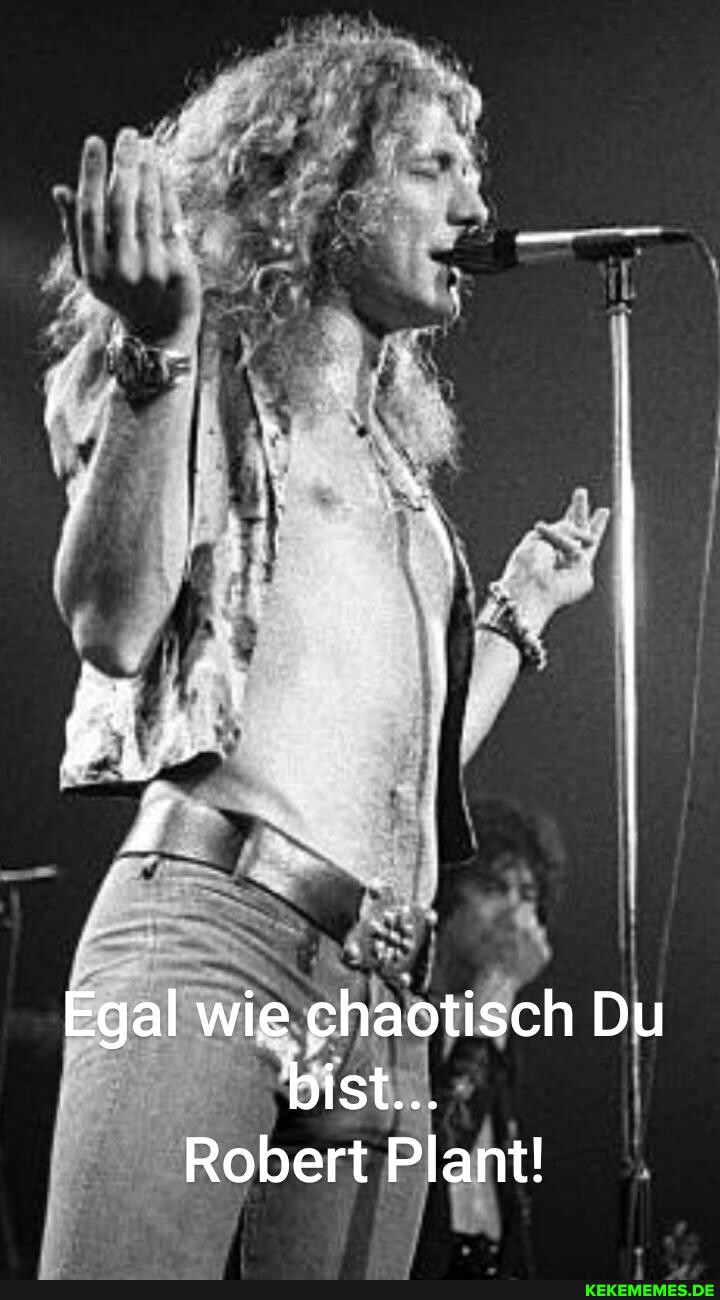 Egal wie chaotisch Du bist... Robert Plant!