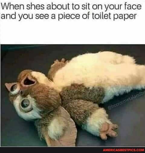 When shes about to sit on your face and you see a piece of toilet paper