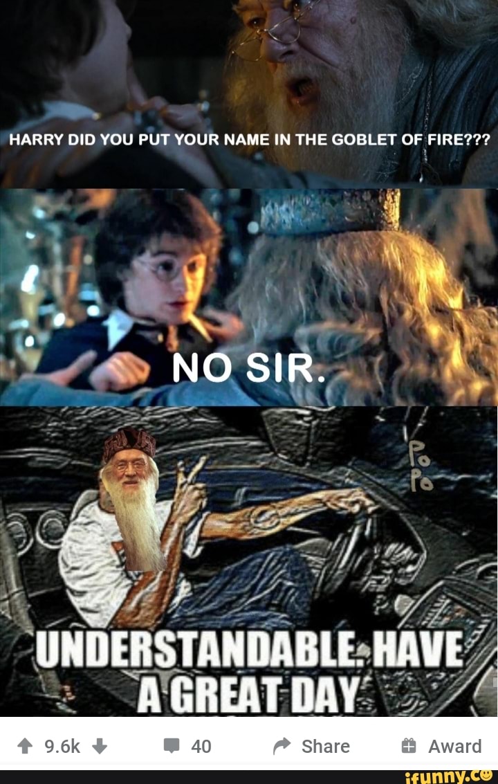 harry-did-you-put-your-name-in-the-goblet-of-fire-ifunny