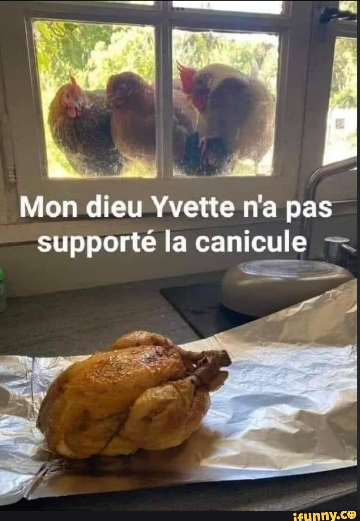 Mon dieu Yvette na pas supporte la canicule - iFunny