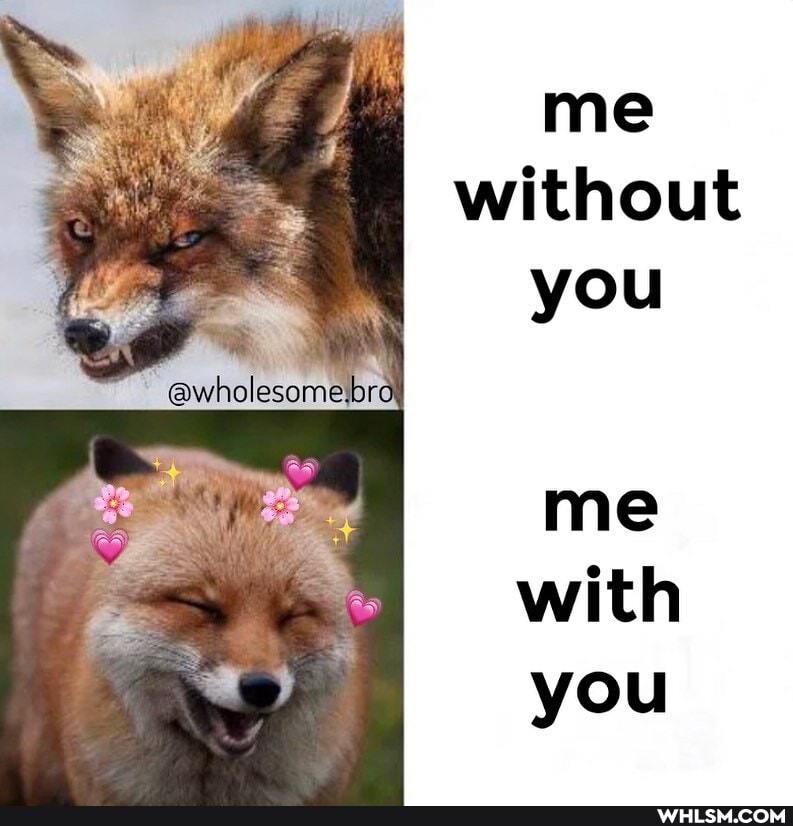 me without you
@wholesomelare
me with you