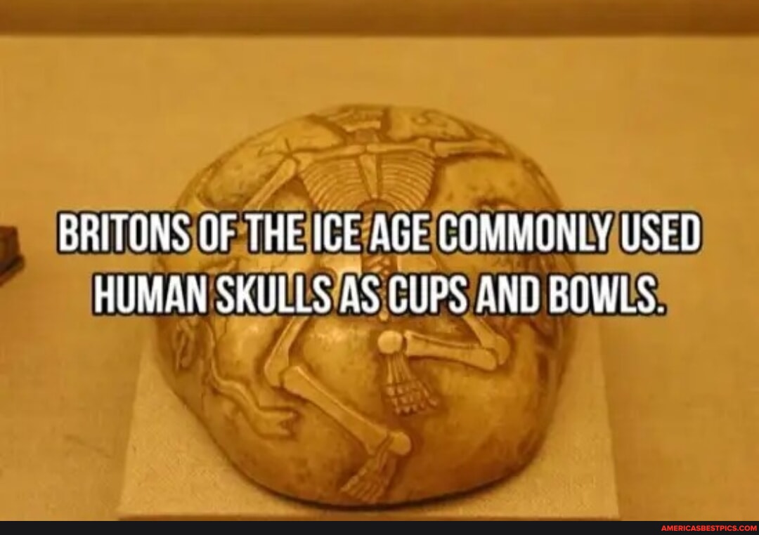 BRITONS OF THE ICE AGE COMMONLY USED HUMAN SKULLS AS CUPS AND BOWLS ...