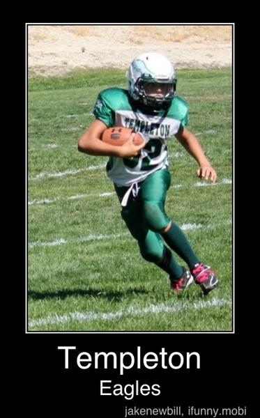 Templeton
Eagles - Templeton
Eagles