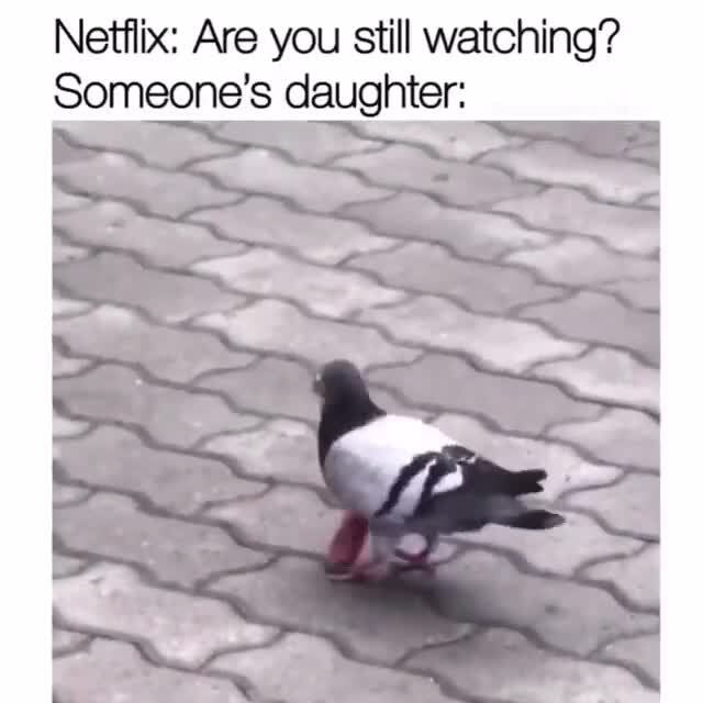 Someone’s daughter Netflix: Are you still watching? Someone's daughter ...