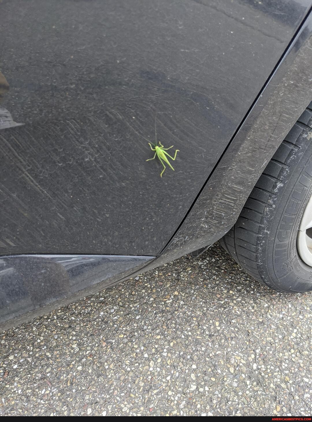 saw, little, gem, morning, entered, car, took, km