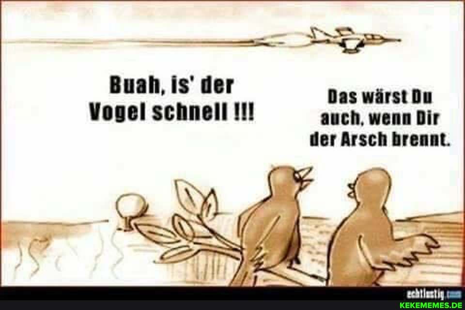 anal,
Vogel schnell Il! auch, wenn Dir der Arsch hrennt.