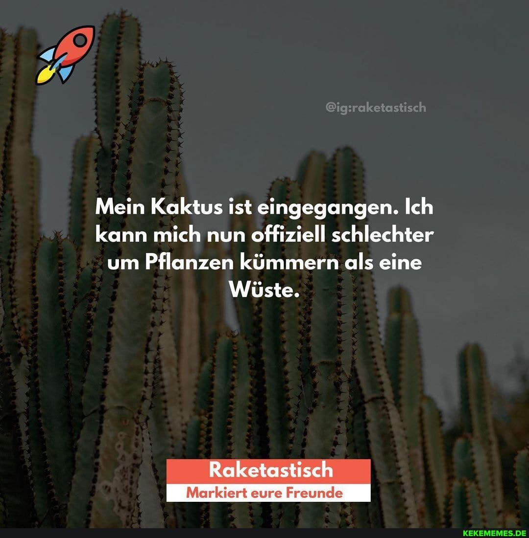 @ig.raketest sc
Mein Kaktus ist eingegangen. Ich kann mich nun offiziell schlechter um Pflanzen kümmern als eine
Wüste.
Raketastisch
Markiert eure Freunde