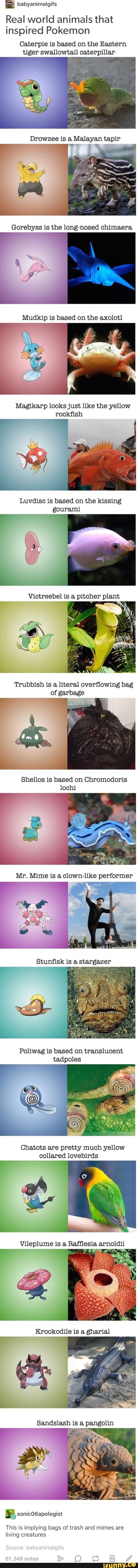 É babyanimalgifs
Real world animals that
inspired Pokemon
Caterpie is based on the Eastern
tiger swallowtail caterpillar
r