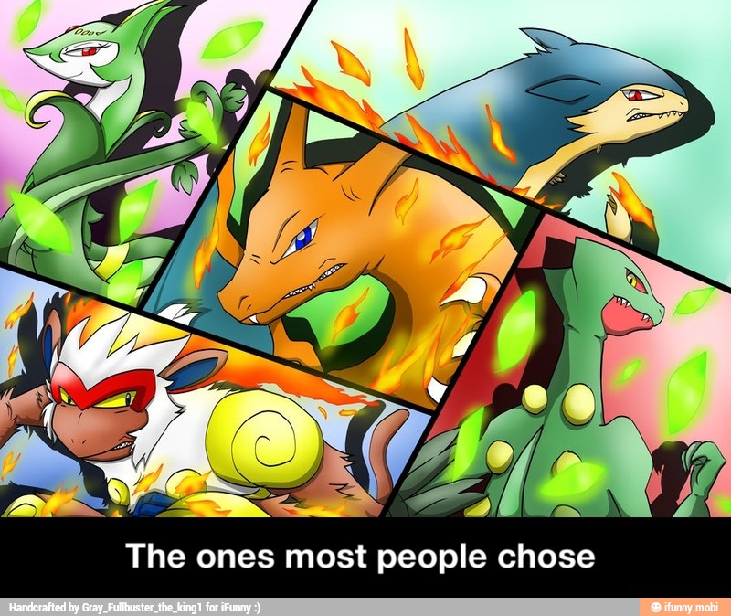 The
ones most
people Chose - The ones most people chose
