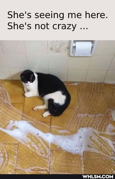 She's seeing me here.
She's not crazy