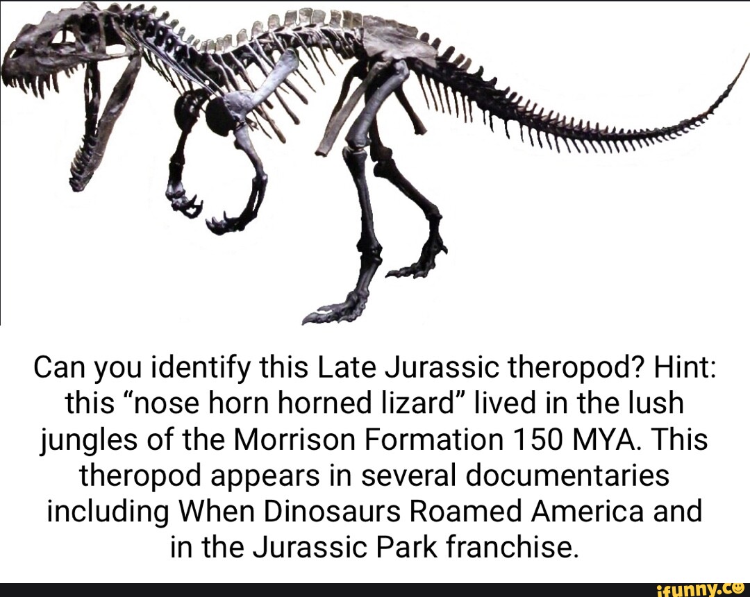 Can you identify this Late Jurassic theropod? Hint this "nose horn