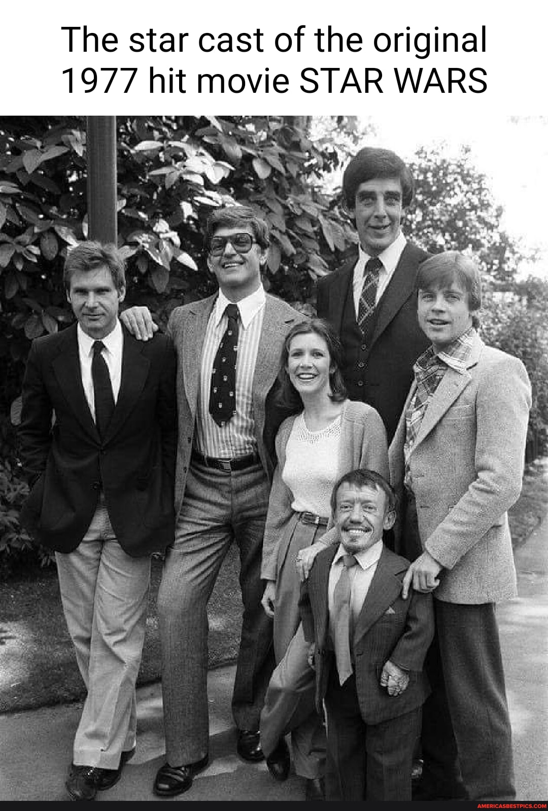 The star cast of the original 1977 hit movie STAR WARS - America’s best ...