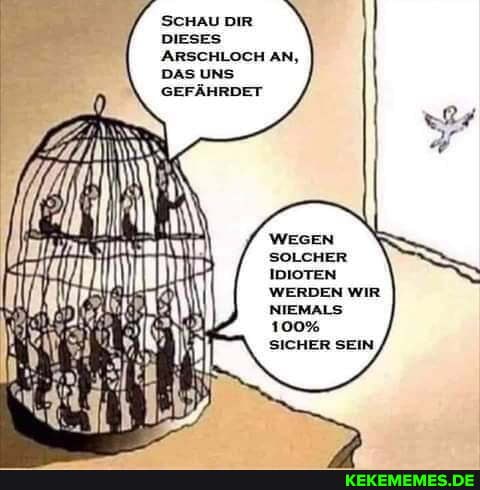 SCHAU DIR
DIESES ARSCHLOCH AN,
DAS UNS GEFÄHRDET