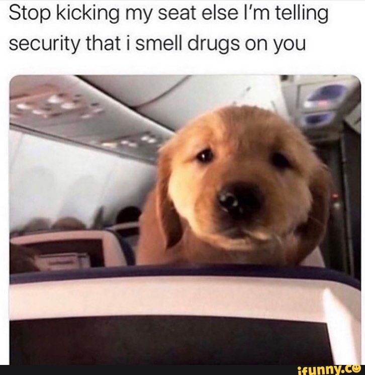 Stop kicking my seat else I'm telling
security that i smell drugs on you