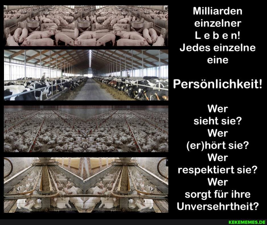 Milliarden einzelner
Leben!
Jedes einzelne eine
Persönlichkeit!
Wer sieht sie?
Wer sie?
Wer respektiert sie?
Wer sorgt für ihre
Unversehrtheit?