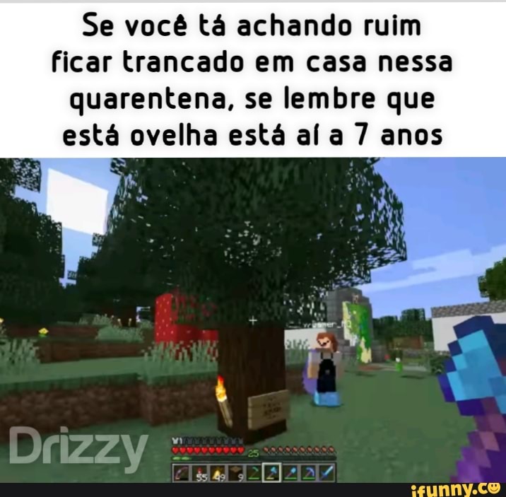 Se você tá achando ruim ficar trancado em casa nessa quarentena, se lembre que está ovelha está ala 7 anos