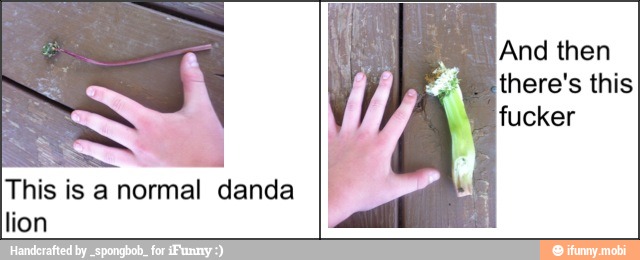 This is anormal danda
lion