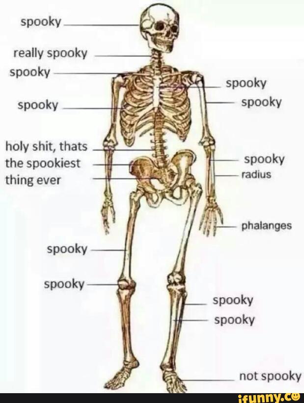 Spooky really spooky spooky spooky holy shit, thats the spookiest ...