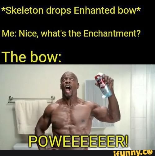 *Skeleton drops Enhanted bow*
Me: Nice, what's the Enchantment?