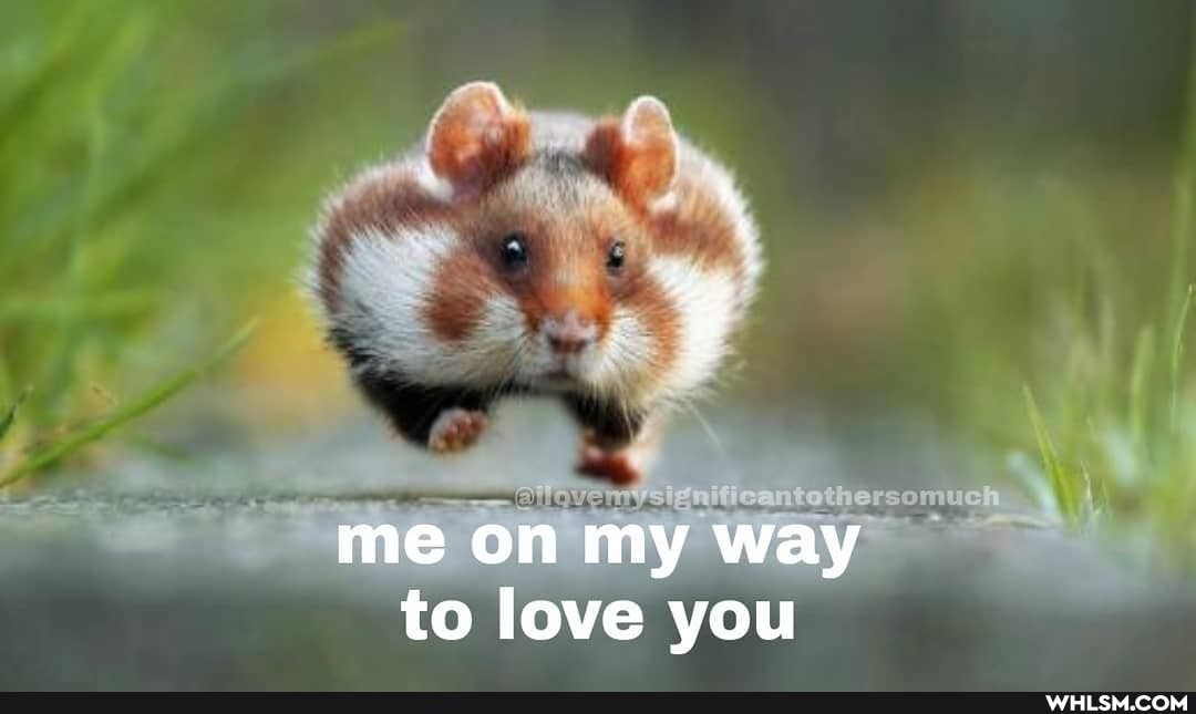 alt os
me on my way to love love you