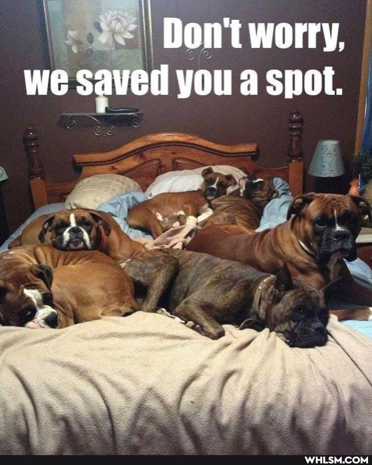 'Don't worry, we saved you a spot.