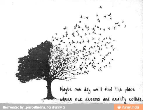 where our dreams and Reality collide.