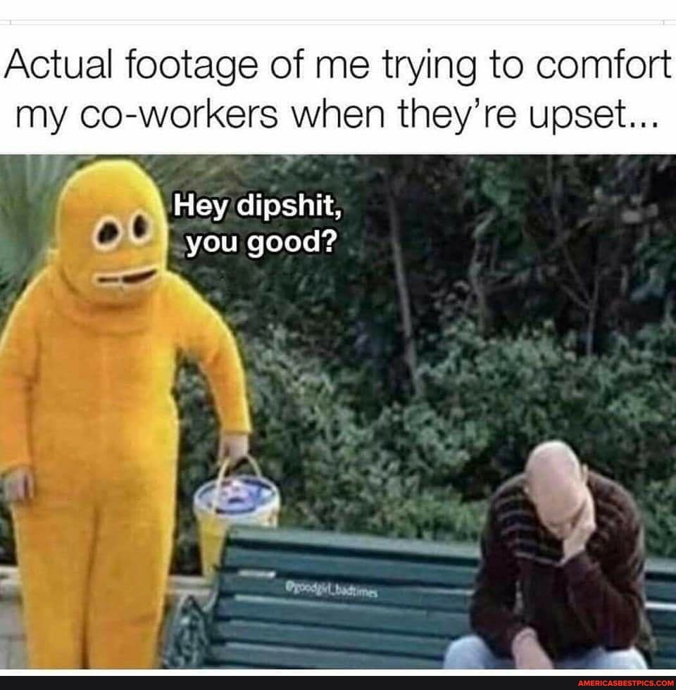 Actual footage of me trying to comfort my co-workers when they're upset...
Hey dipshit,
I you good?