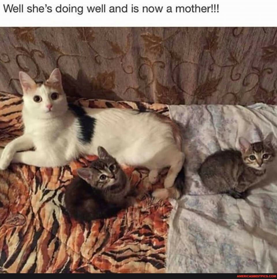 Well she's doing well and is now a mother!!!