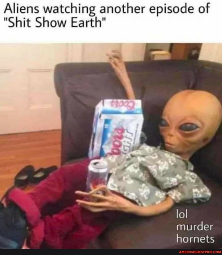 Aliens watching another episode of
"Shit Show Earth"
lol
murder hornets