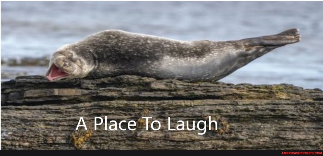 Place To Laugh