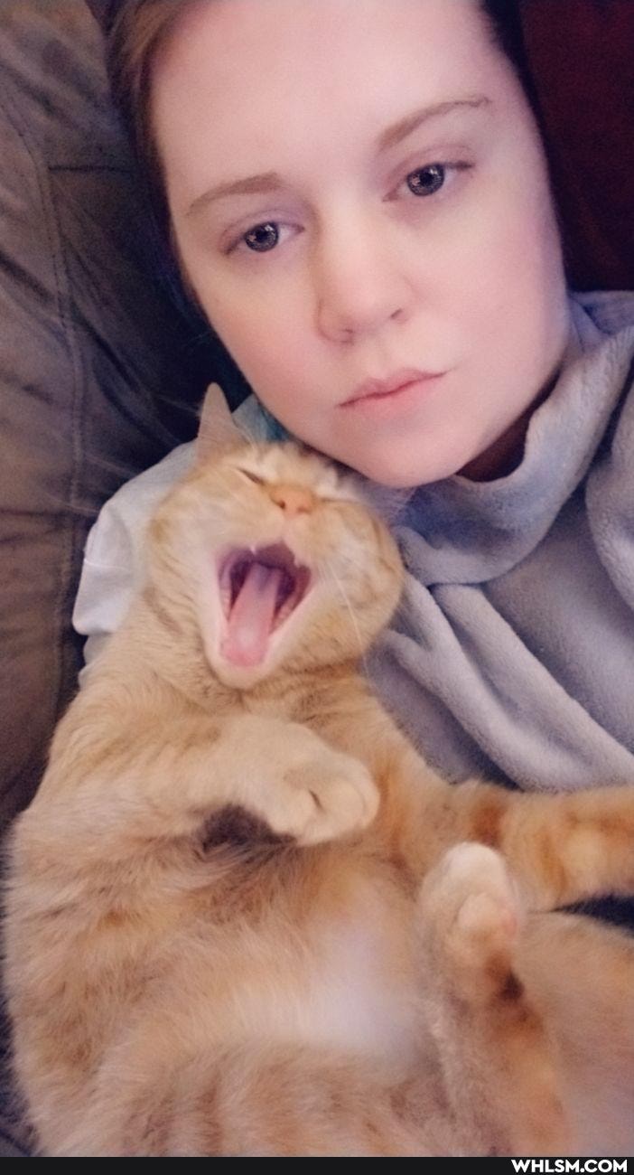 funny, cats, silly, happy