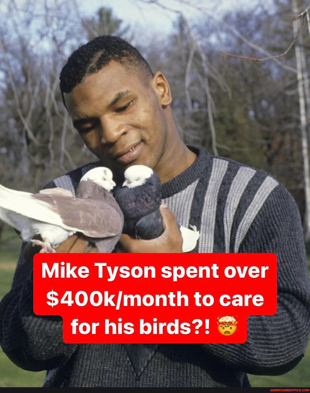 How Mike Tyson ended up racing pigeons 👀 - Tx Mike Tyson spent over to