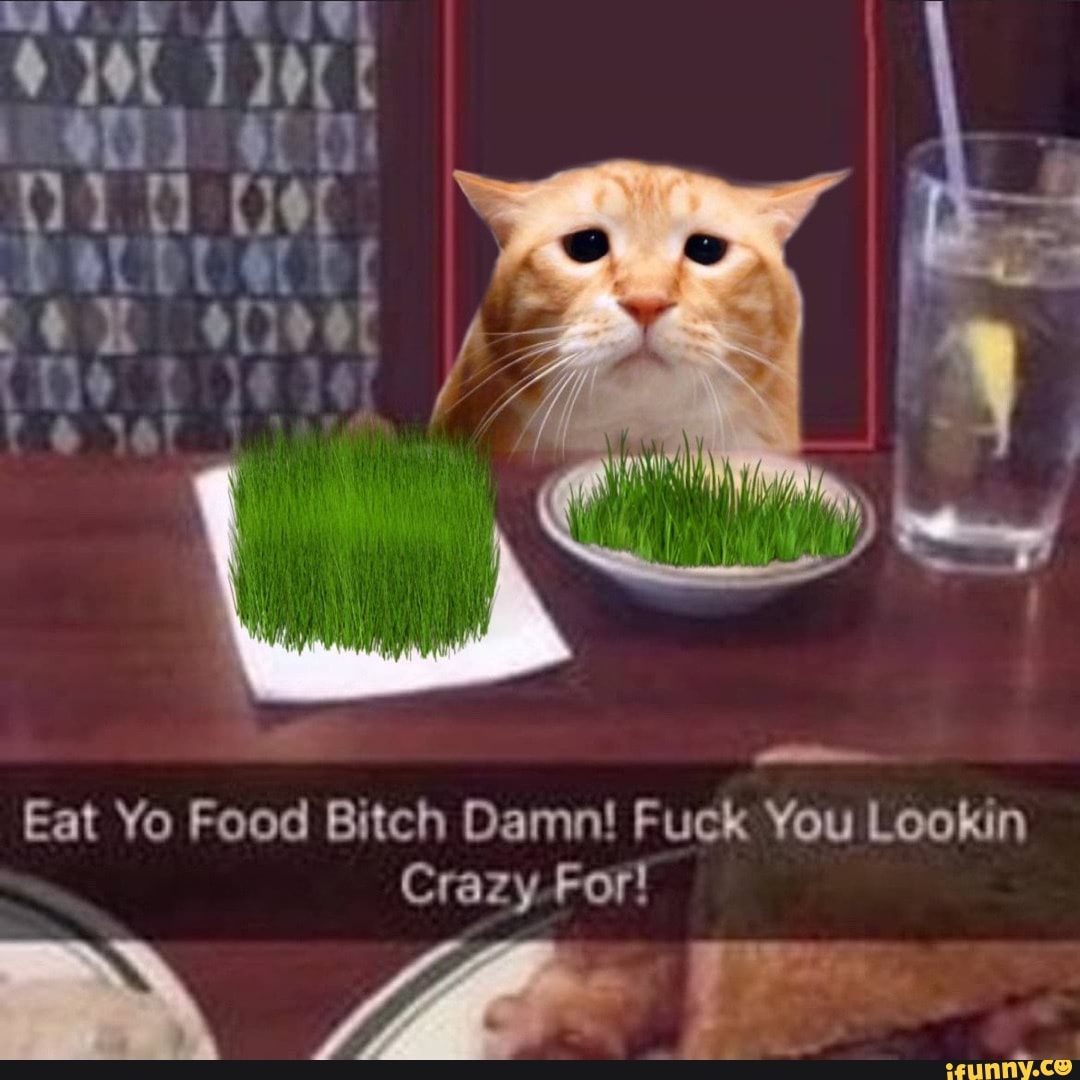 Eat Yo Food Bitch Damn! Fuck You Lookin Crazy For! - )