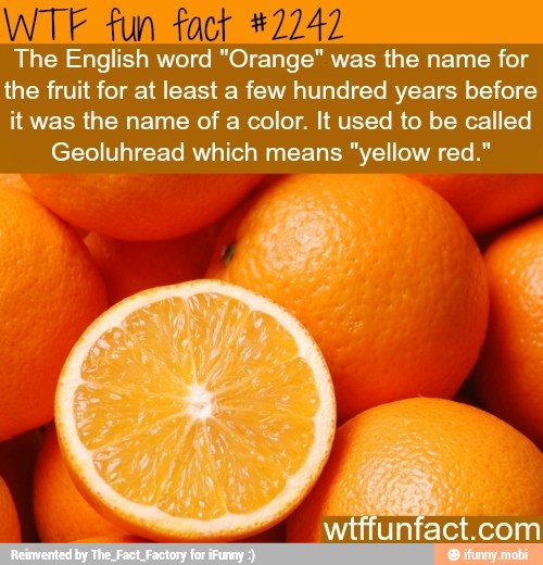 fun fact 47742
The English word "Orange" was the name for
the fruit for at least a few hundred years before
it was the name of a color. It used to be called
Geoluhread which means "yellow red."