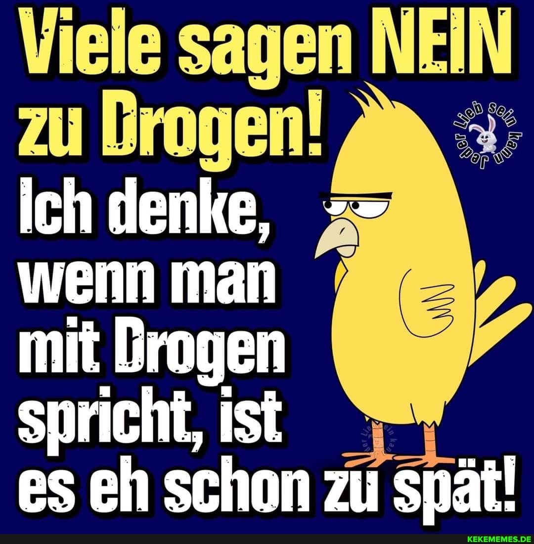 samen
zu brogen! ich denke, wenn man
mit Drogen
spricht, ist es eh schon zu spät!