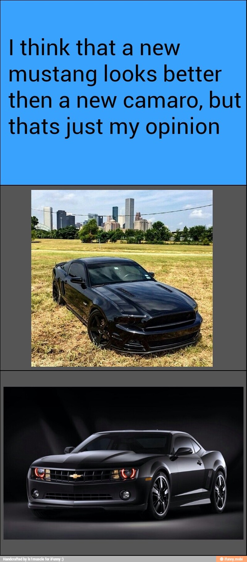 I think that a new
mustang looks better
then a new camaro, but
thats just my opinion