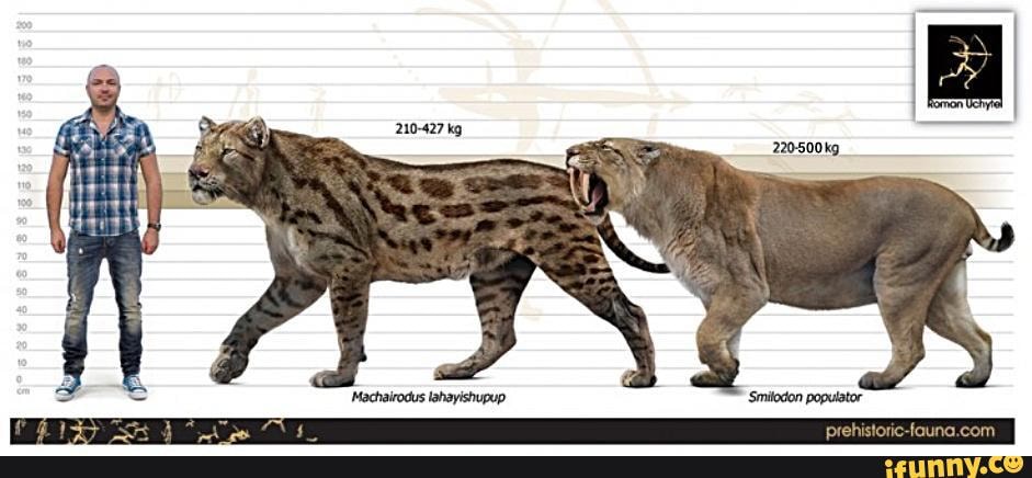 smilodon populator size comparison