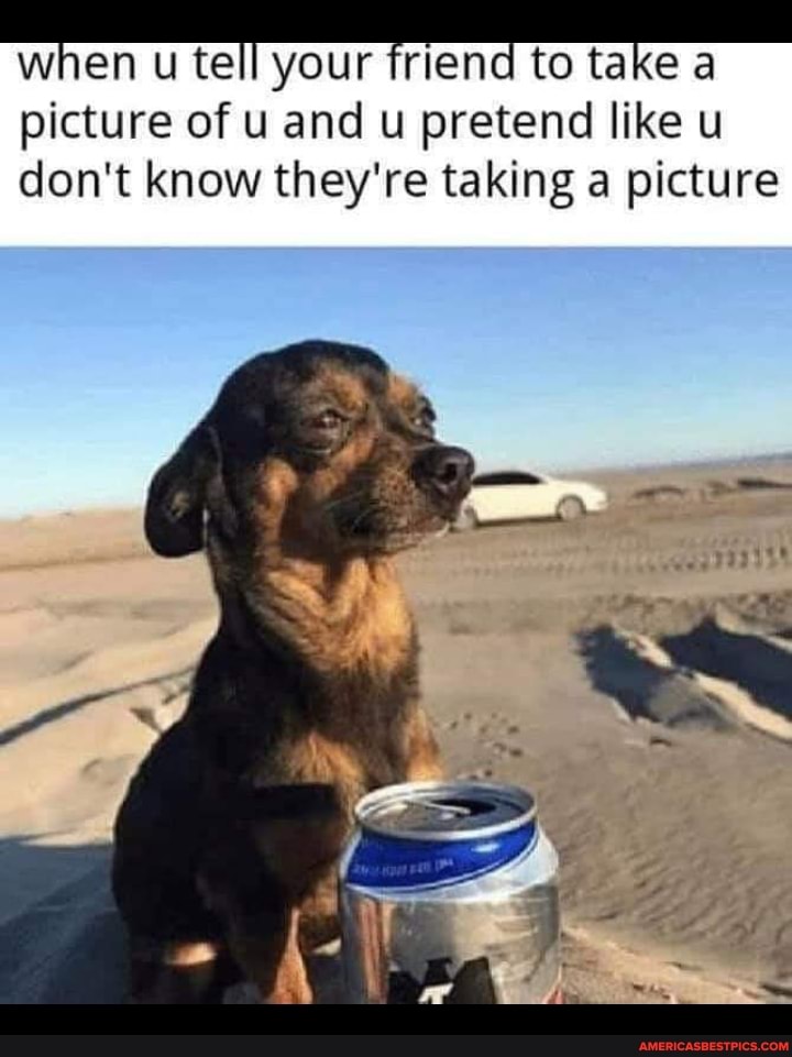 'when u tell your tiriend to take a picture of u and u pretend like u don't know they're taking a picture