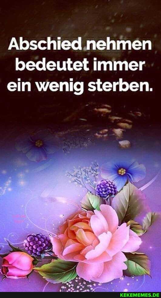 Abschied nehmen bedeutet immer ein wenig sterben.