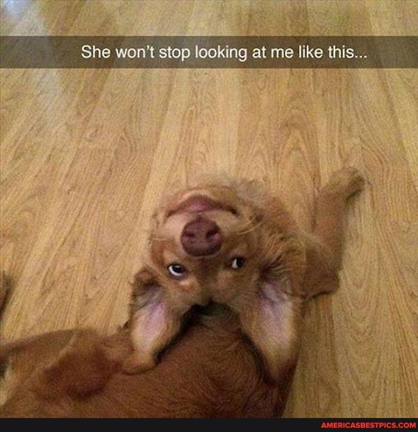 She won't stop looking at me like this...