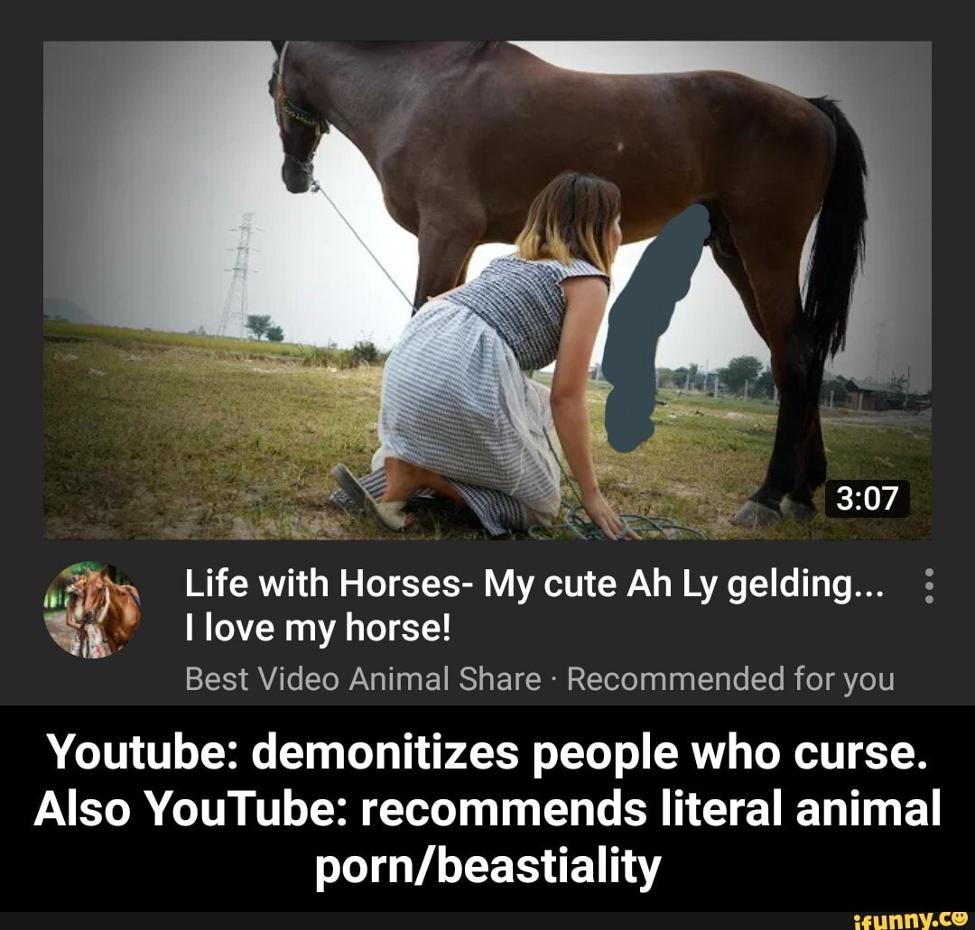 Girls Fucking Horses Captions - A way Life with Horses- My cute Ah Ly gelding... \