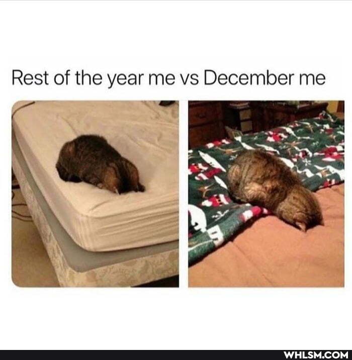 Rest of the year me vs December me