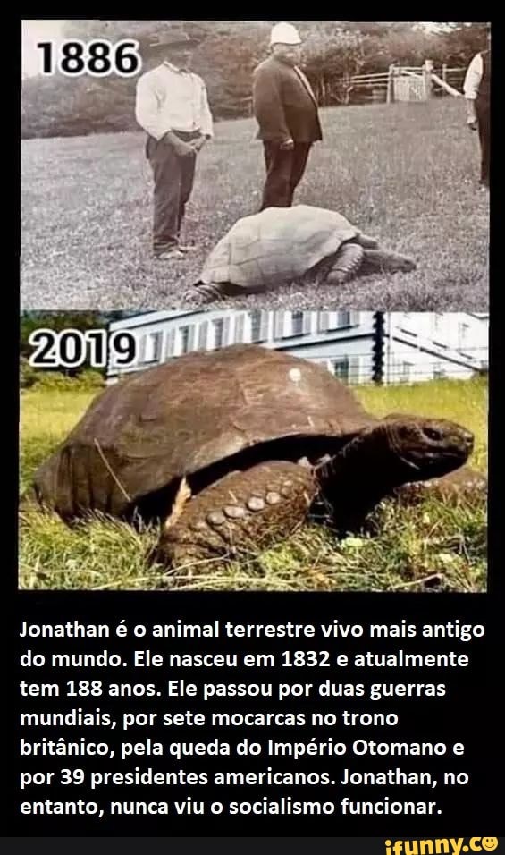Jonathan é o animal terrestre vivo mais antigo do mundo. Ele nasceu em 1832 e atualmente tem 188 anos. Éle passou por duas guerras mundiais, por sete mocarcas no trono britânico, pela queda do Império Otomano e por 39 presidentes americanos. Jonathan, no entanto, nunca viu socialismo funcionar.